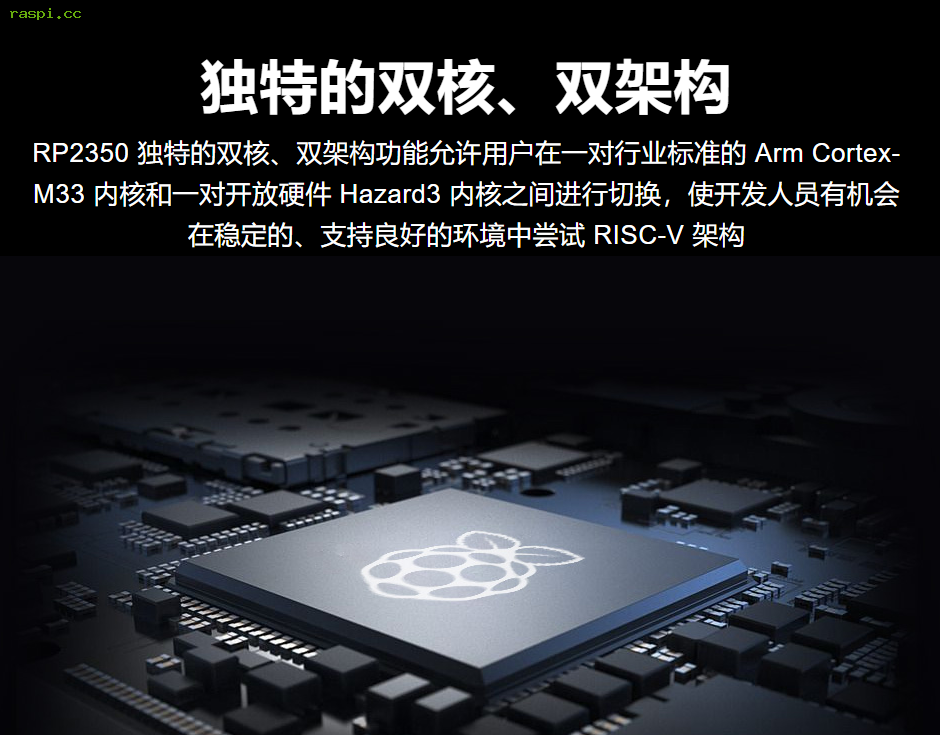 RP2040/RP2350芯片
